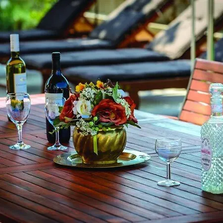 Anka - Five-bedroom With Terrace And Swimming Pool Zaton (Dubrovnik-Neretva)