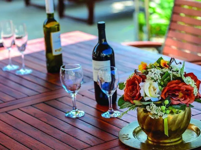 Villa Anka - Five-bedroom With Terrace And Swimming Pool